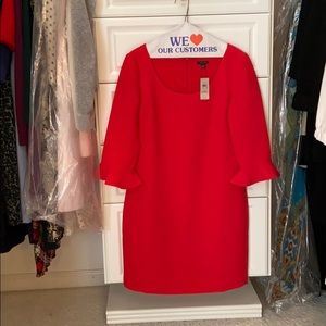 NWT Ann Taylor Dress